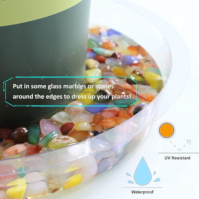 Gardzen Heavy Duty Clear Plastic Plant Saucers, Flower Pot Tray - Excellent for Indoor & Outdoor Plants (6-Inch, 10-Pack)