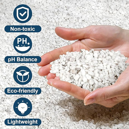Horticultural Perlite Plants 2qt, Chunky Perlite Bulk for Gardening, Soil Amendments to Improve Soil Aeration & Dranage for Houseplant