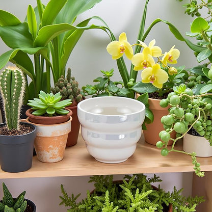 Pots for Indoor Plants, Rainbow Pearl Glaze Planters Set of 2 with Drainage Hole, 6 Inch Round Modern Pots for Flower Snakes Succulents, White and Pink