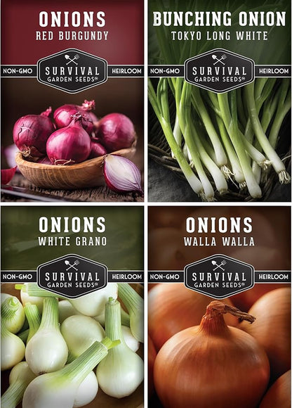 Onion Seeds 4 Variety Collection – Bunching, Red Burgundy, White Grano & Walla Walla Sweet Onions for Planting a Home Garden – Heirloom, Non-GMO Seed Packs – Survival Garden Seeds