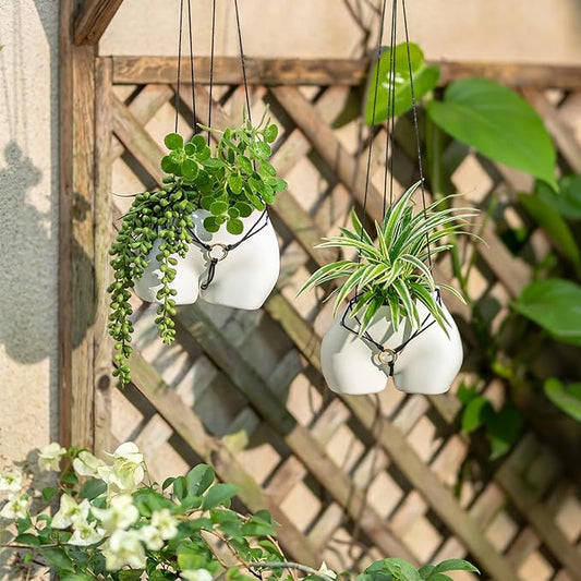 Funny Planter Gift for Plant Lovers: Cute Hanging Plant Pot for Outdoor Indoor Plants - Resin White Vase Succulents Pots with Rope