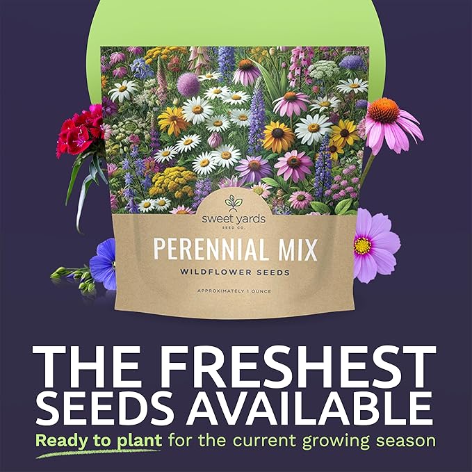Perennial Wildflower Seeds Mixture - Bulk 1 Ounce Packet - Over 15,000 Pure Live Seed - Open Pollinated and Non GMO…