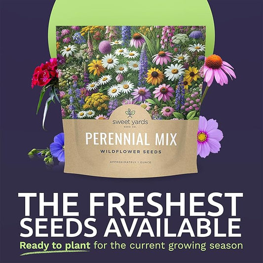 Perennial Wildflower Seeds Mixture - Bulk 1 Ounce Packet - Over 15,000 Pure Live Seed - Open Pollinated and Non GMO…
