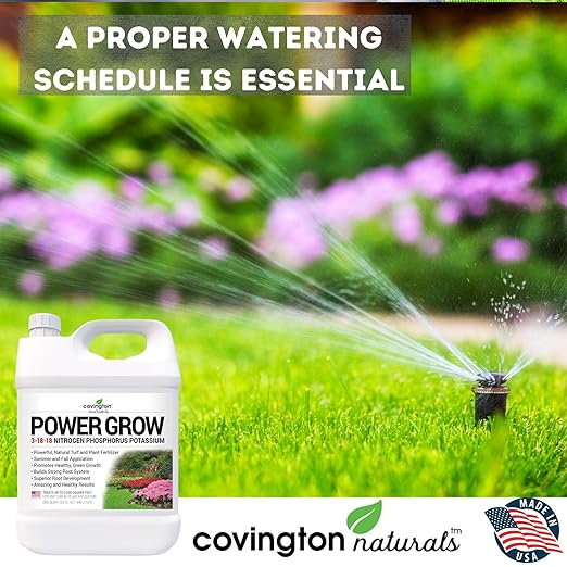 Liquid Lawn Fertilizer, 3-18-18 NPK Grass Fertilizer, Premium Lawn and Plant Nutrient Food – Year Round Concentrate for Best Value – All Grass Types – 32 OZ