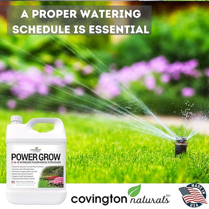 Liquid Lawn Fertilizer, 3-18-18 NPK Grass Fertilizer, Premium Lawn and Plant Nutrient Food – Year Round Concentrate for Best Value – All Grass Types – 32 OZ
