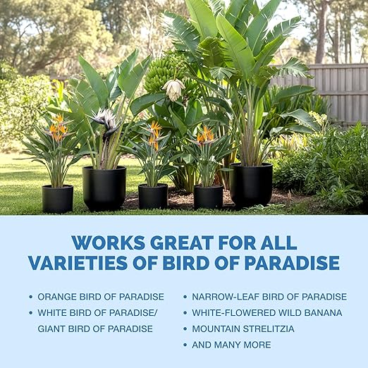 Bird of Paradise Fertilizer for All Strelitzia Plants, Liquid Plant Food 1 Gallon (128oz)