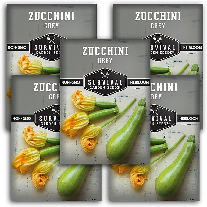 Survival Garden Seeds - Grey Zucchini Seed for Planting - 5 Packs with Instructions to Plant and Grow Mexican Summer Squash in Your Home Vegetable Garden - Non-GMO Heirloom Variety - Garden Plant Seed