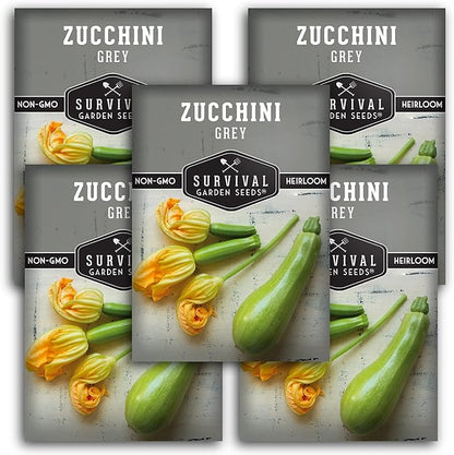 Survival Garden Seeds - Grey Zucchini Seed for Planting - 5 Packs with Instructions to Plant and Grow Mexican Summer Squash in Your Home Vegetable Garden - Non-GMO Heirloom Variety - Garden Plant Seed