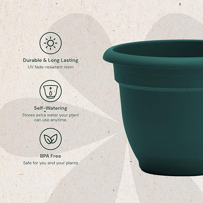 Bloem Ariana 6" Charleston Round Self-Watering Resin Planter Pot - Rolled Rim Indoor and Outdoor Gardening Planter