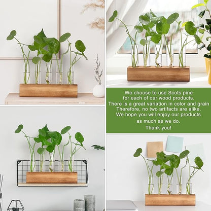 YIBOT Propagation Stations, Plant Terrarium with Wooden Stand, Birthday Gardening Gifts for Women Mom Plant Lovers,Home Office Desk Decor, 5 Glass Test Tubes Vases
