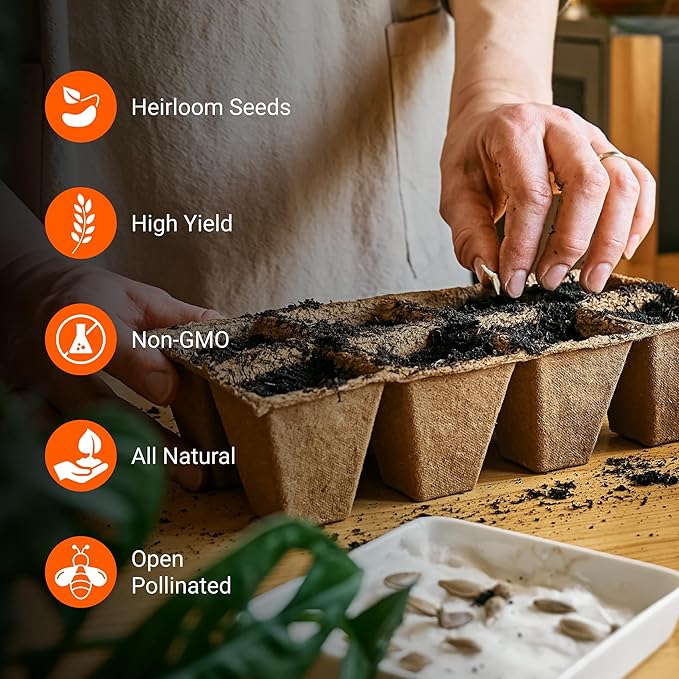 Open Seed Vault |15,000 Heirloom Seeds | 32 Seed Types | Survival Seeds | 2026 Season | Non GMO Vegetable and Fruit Seeds | Planting Outdoor & Indoor Garden