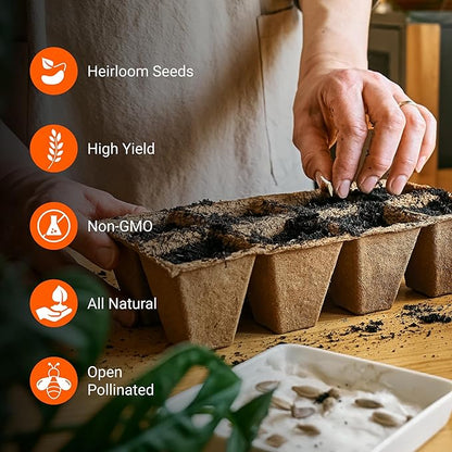 Open Seed Vault |15,000 Heirloom Seeds | 32 Seed Types | Survival Seeds | 2026 Season | Non GMO Vegetable and Fruit Seeds | Planting Outdoor & Indoor Garden