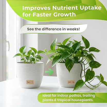 Professional Pothos Soil | Premium All Purpose Blend | Large 2.2 Quarts | Ready to Use for Indoor Plants | Peat Moss, Coco Coir, Perlite, Dolomite | Made in USA