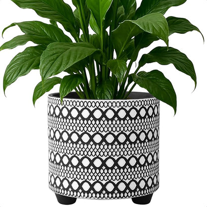 D'vine Dev 8 Inch Terracotta Planter Pot, Modern Design Ceramic Plants Pot with Drainage Hole, Noir Nomad, 33-953-B-5