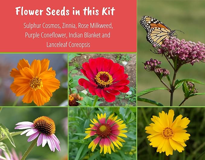 Butterfly Garden Flower Seed Starter Kit - Grow 6 Types of Wildflower Seeds Including Milkweed, Coreopsis, Cosmos, Echinacea, Gaillardia and Zinnia Seeds