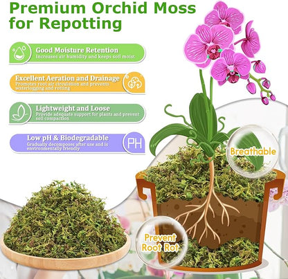 Legigo 3.7OZ Sphagnum Moss for Plants, 4QT Natural Orchid Moss Potting Mix Dired, Green Forest Plant Moss for Orchid Repotting Carnivorous Succulents Indoor Potted Plants Gardening and Reptiles