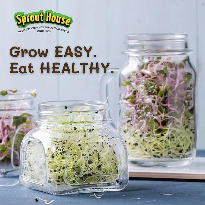The Sprout House Variety Sample Pack -1.5 LBS of 12 Different Sprouting Seeds - Certified Organic and Non GMO - Includes 2oz of Each