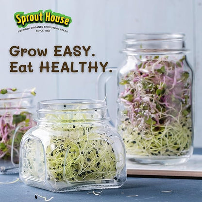 The Sprout House Variety Sample Pack -1.5 LBS of 12 Different Sprouting Seeds - Certified Organic and Non GMO - Includes 2oz of Each
