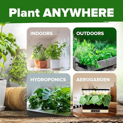 HOME GROWN 30 Herb Seeds for Planting 10,900+ Non-GMO Heirloom Seeds | Extra Large Variety Pack Herb Kit – Indoor Outdoor & Hydroponic | Culinary Seed Set | Grow Your Own Herbs | Gardening Gift
