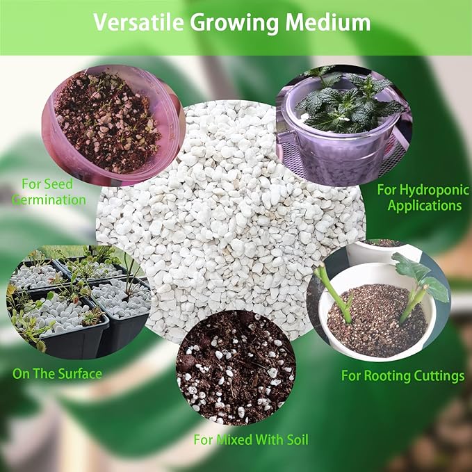 Natural Organic Perlite 2QT for Plants Potting Mix Indoor Outdoor Garden Soil Amendment for Enhanced Drainage, Seed Starter, Root Growth for Succulents, Cactus, Orchids, Money Trees, Vegetables
