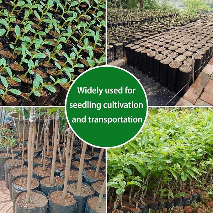 Belit 100 Pcs Plant Nursery Bags, Plastic Seedling Pots Container for Fruit Tree, Flower, Starting saplings, Plant Grow(3.5"x7.6")
