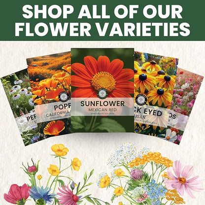Mexican Sunflower (Red) – 9,000 Seeds for Planting – 4-Ounce Pack – 2026 Growing Season