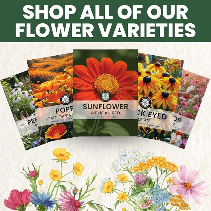 Mexican Sunflower (Red) – 2,000 Seeds for Planting – 1 Ounce Pack – 2026 Growing Season