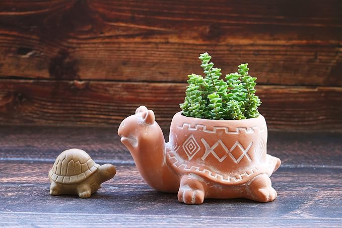 Cotta Planters Turtle Lady Bug Terracotta Animal Succulent Planter, Home Decor, 2-Pack Smaller Planter Set