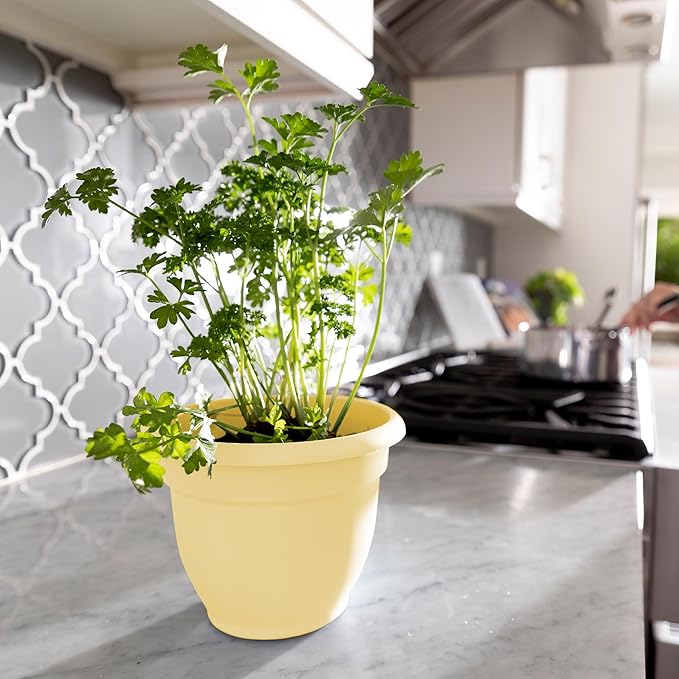 Bloem Ariana 8" Daffodil Round Self-Watering Resin Planter Pot - Rolled Rim Indoor and Outdoor Gardening Planter