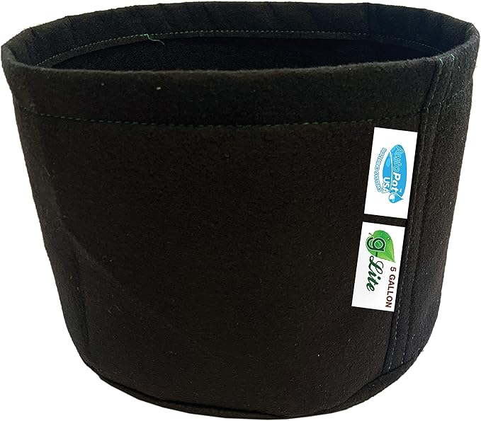 AutoPot 16 Pot GeoPot System with 3 Gallon Fabric Pots - Self-Watering, Gravity-Fed Hydroponic Systems (16Pot with 60 gal PRO Flexi Tank) Indoor, Black