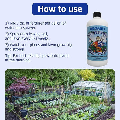 Neptune's Harvest Fish & Seaweed Liquid Fertilizer (2-3-1) - 36oz Bottle - Plant Food for Garden - Indoor & Outdoor Organic Plant Fertilizer for Vegetables, Flowers, Fruit, Trees & Lawns
