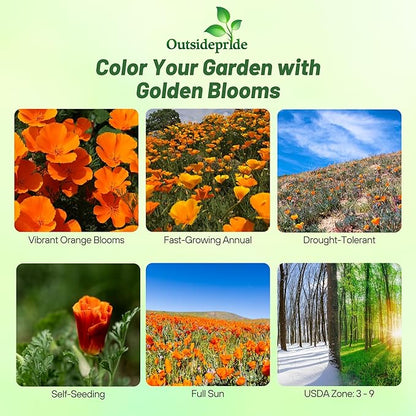 Outsidepride Eschscholzia Orange California Poppy Seeds - 1 lb. Annual, Native, Drought Tolerant Wildflower Seeds w/Vibrant Blooms for Full Sun & Drought-Tolerant Pollinator-Friendly Gardens
