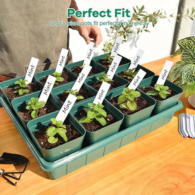 June Fox 60 Pcs Square Nursery Pots for Plants, 5 Pcs Seed Starter Tray Kit, Small Seedling Pots 4 Inch with 60 Plant Tags, Seedling Trays (Green)