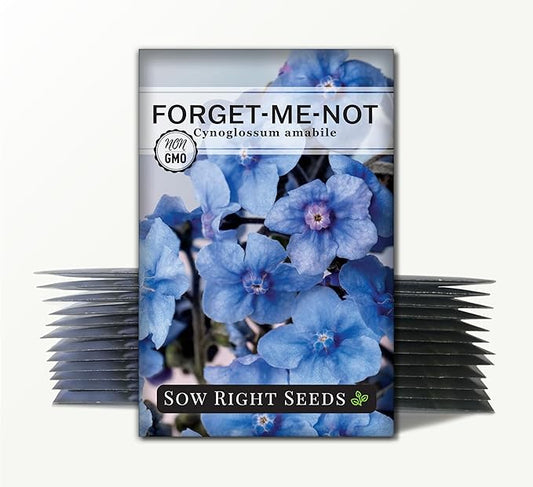 Sow Right Seeds - Forget-Me-Not Flower Seeds for Planting (Cynoglossum amabile) - Non-GMO Heirloom Packet with Instructions - Great to Pair with Cards of Remembrance - Small Blue Memory Blooms (25)