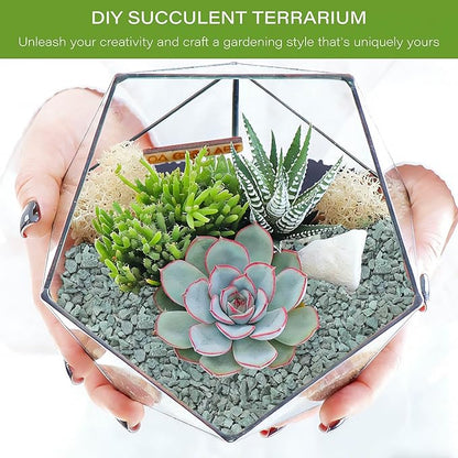 NUPICK 6lb Green Zeolite for Plants, 3/8" Natural Succulent Potting Soil Amendments, Decorative Gravel for Cactus, Bonsai Gritty Rock, Pebbles Pumice for Vase Fillers, Top Dressing