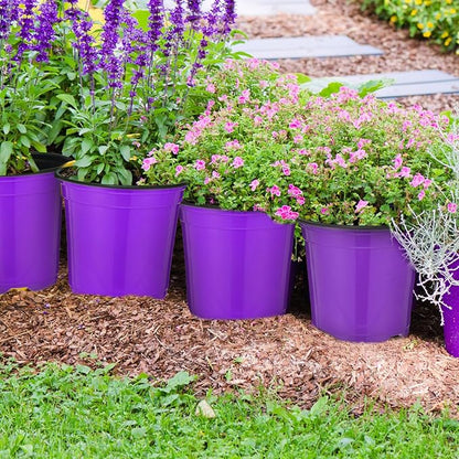 Havawish 150 Pcs 4 Inch Plastic Nursery Pots Seedling Starting Pots with Drainage Holes Thicken Flower Planters Seed Starting Indoor Outdoor for Seedling Cutting Transplanting(Purple)