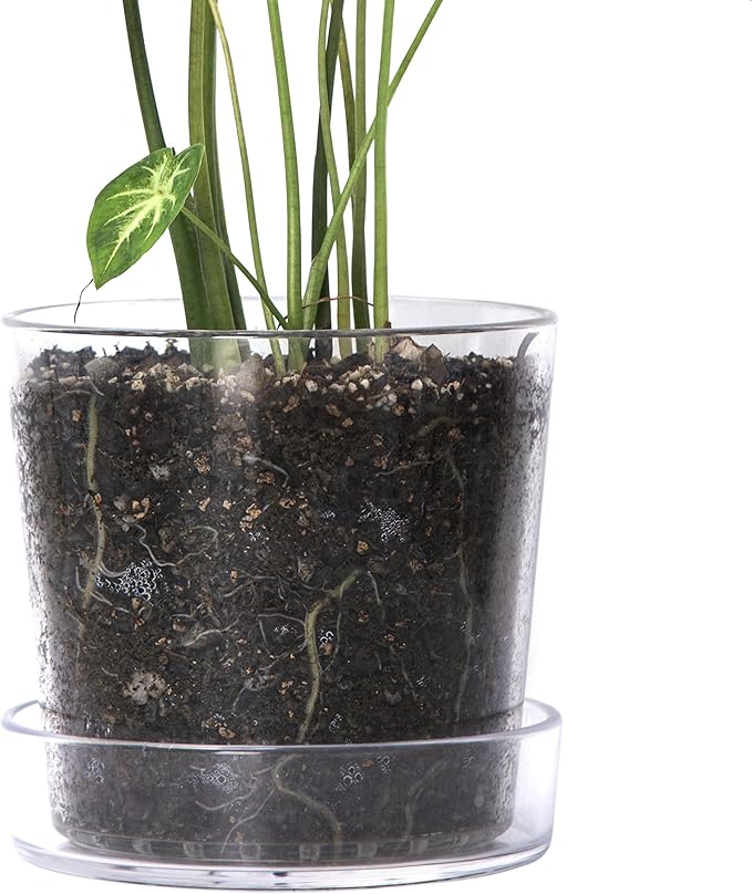 Phoenix Vine 8 Inch Clear Acrylic Planter Pot with Tray, Orchid Pot with Drainage Holes, Deep Saucer for Bottom Watering, Transparent Containers for Indoor Plants, Herbs, Set of 1, 91-A-G-1