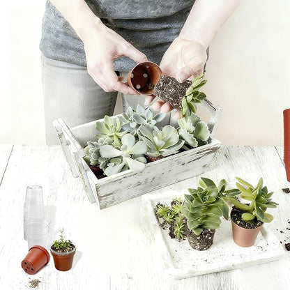 2 Inch Round Nursery Seedling Pots (Red+Clear),100 Pack Mini Plastic Seedling Planter,Sturdy Small Plastic Pots with Drainage Holes for Seed Starting, Succulents, Indoor Outdoor Gardening