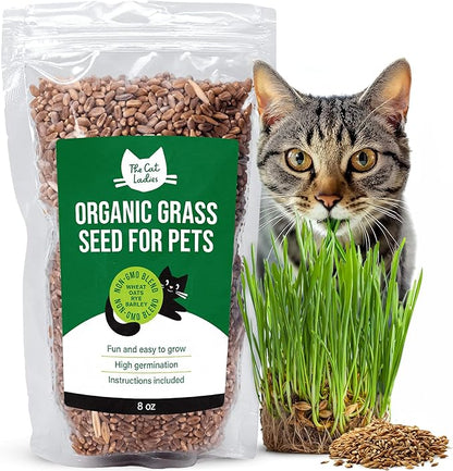The Cat Ladies 100% Organic Cat Grass Seeds - Cat Grass for Indoor Cats - (Non GMO) 8 oz