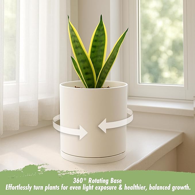D'vine Dev Double-Layer Planter Set – Rotating Plastic Cachepot with Clear Inner Liner for Root Health, Perfect for Indoor Plants, 4.5", Oatmeal, 73-U-D-1
