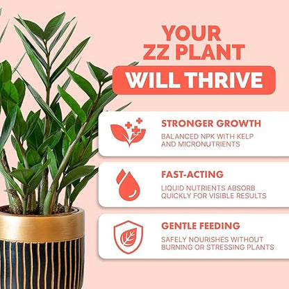 ZZ Plant Fertilizer for All Zamioculcas Plants, Liquid Plant Food 8 oz (250mL)