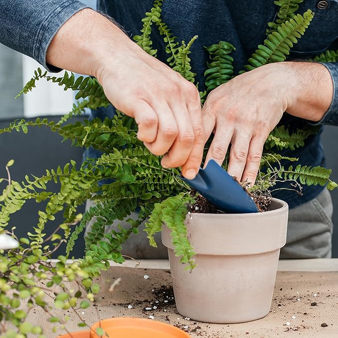Potting Soil Mix for Fern 10qt, Custom Hand Blended Mixture Suitable for Indoor/Outdoor Potted Fern Plant