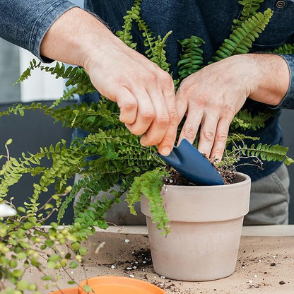 Potting Soil Mix for Fern 10qt, Custom Hand Blended Mixture Suitable for Indoor/Outdoor Potted Fern Plant