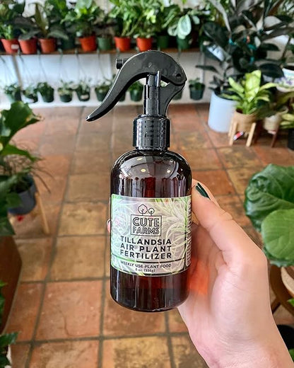Cute Farms Tillandsia Air Plant Fertilizer | Gentle Weekly Use Formula Plant Food | Formulated Nutrients for Air Plants (8 oz. Spray Bottle)