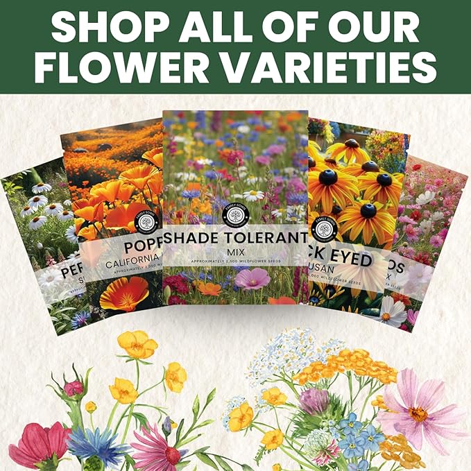 Shade Tolerant Mix – 14,000 Wildflower Seeds for Pollinator Gardens – 2026 Season – 1 Ounce Pouch