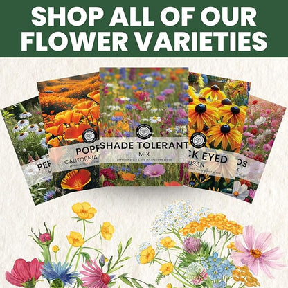 Shade Tolerant Mix – 14,000 Wildflower Seeds for Pollinator Gardens – 2026 Season – 1 Ounce Pouch