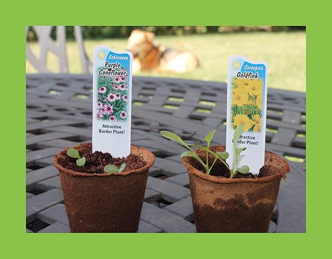 Butterfly Garden Flower Seed Starter Kit - Grow 6 Types of Wildflower Seeds Including Milkweed, Coreopsis, Cosmos, Echinacea, Gaillardia and Zinnia Seeds
