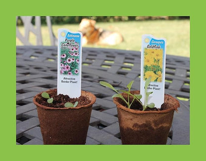 Butterfly Garden Flower Seed Starter Kit - Grow 6 Types of Wildflower Seeds Including Milkweed, Coreopsis, Cosmos, Echinacea, Gaillardia and Zinnia Seeds