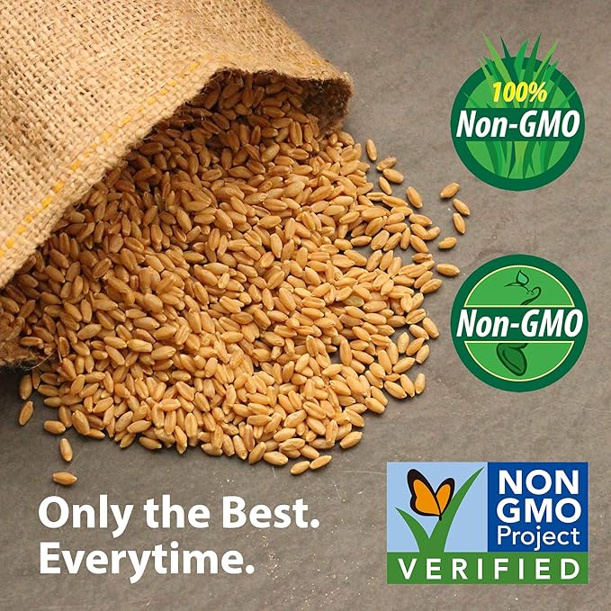Non-GMO Alfalfa Seeds - 1 Lbs - High Germination, Conventional Seed - Gardening, Cover Crop, Field Growing, Food Storage & More