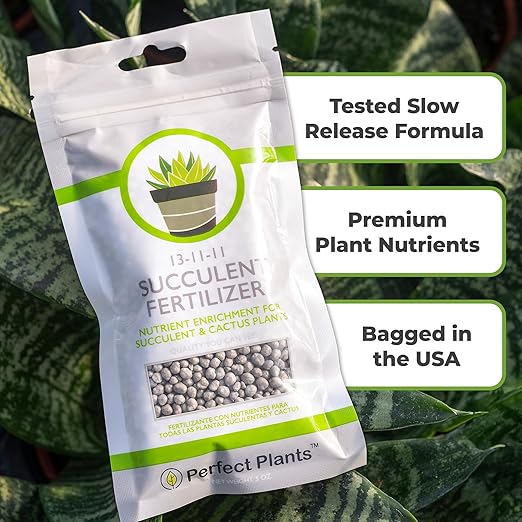 Succulent and Cactus Fertilizer in 5oz. Bag | Long Lasting Gentle Plant Food Formula for All Live Succulents, Cacti, and Other Desert Houseplants (Pack of 2)